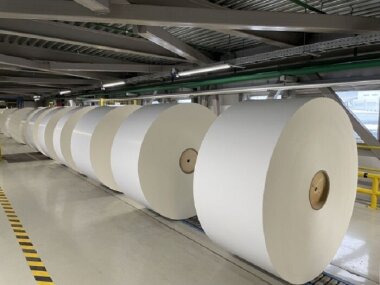 Камский ЦБК возможно вновь будет продан