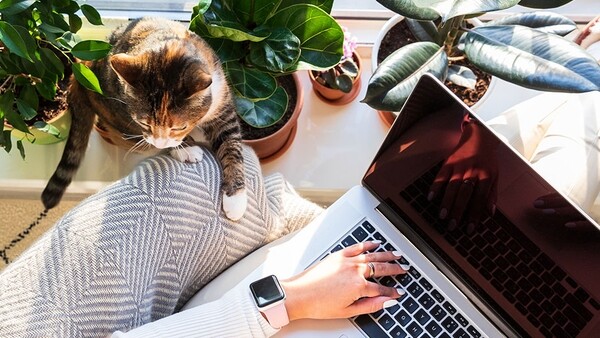 В Великобритании гарантируют работникам «право на отключение»