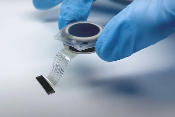 Маск пообещал чипы Neuralink миллионам людей