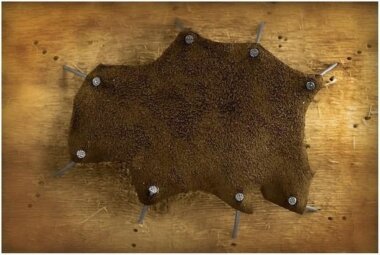 Шагреневая drupa 2028