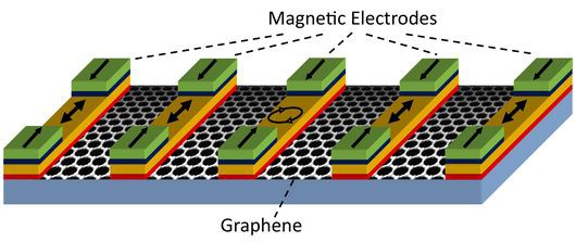 Иллюстрация: Kawakami lab, UC Riverside