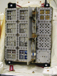 лишайник открытый космос МКС Expose-E