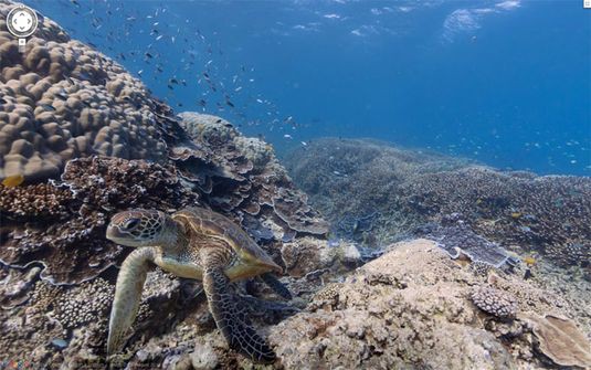 На Google Street View появились подводные панорамы