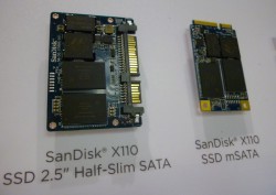 SanDisk X110