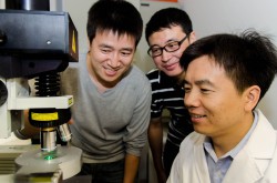 Сингапурские ученые обещают чипы, самоохлаждающиеся до температуры жидкого гелия  