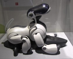 Робот-собака Sony Aibo