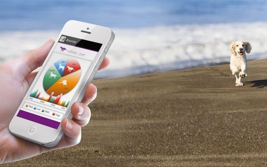 ошейник и приложение PetPace