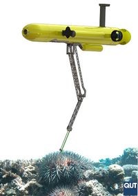 Самообучаемый робот будет истреблять морских звезд