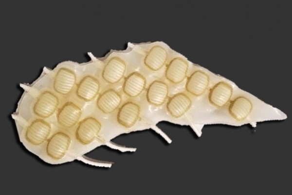 Источник: MIT