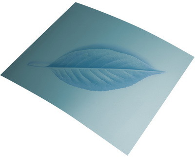 Газетная пластина следующего поколения Brillia PRO-VN2