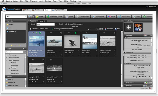 WoodWing выпустила Elvis DAM 4.0 для управления медиа-архивами