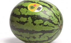 Самоклеящийся материал RafFruit Plus