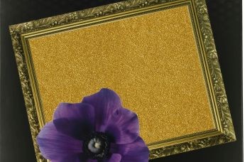 Cactus начала продажу металлизрованной арт-бумаги