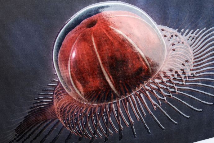 Xaar выпустила головку 1002 GS12 для УФ-печати