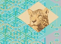 Agfa Graphics создала на основе Arziro Design законченную экосистему для печати защищённой продукции