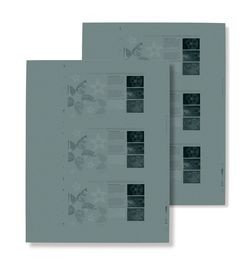 Спрос на беспроцессные пластины Kodak Sonora вырос за год на 50%