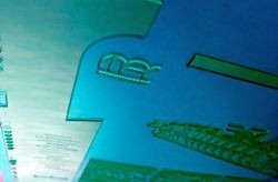 Продуктивный сезон отпусков «ЯМ Интернешнл (СНГ)»