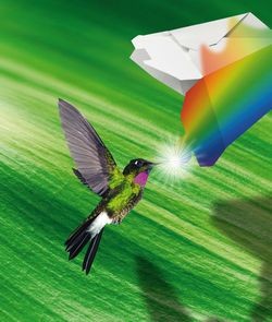 hubergroup разработала листовые краски для печати больших тиражей пищевой упаковки