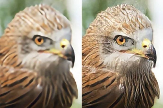 Появилась технология придания резкости фотографиям с помощью искусственного интеллекта и нейросетей