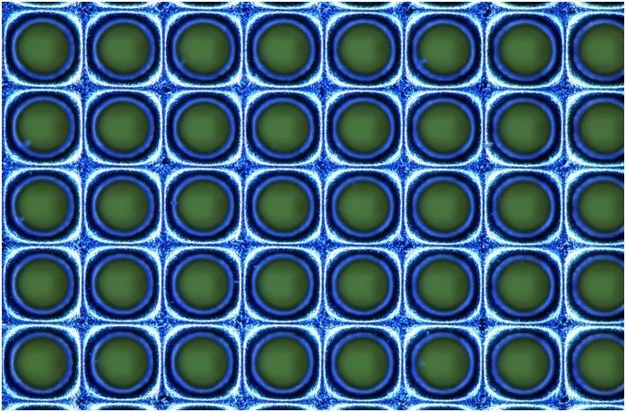 SPGPrints оживит трафаретную печать, представив на ITMA 2019 инновационную сетку 