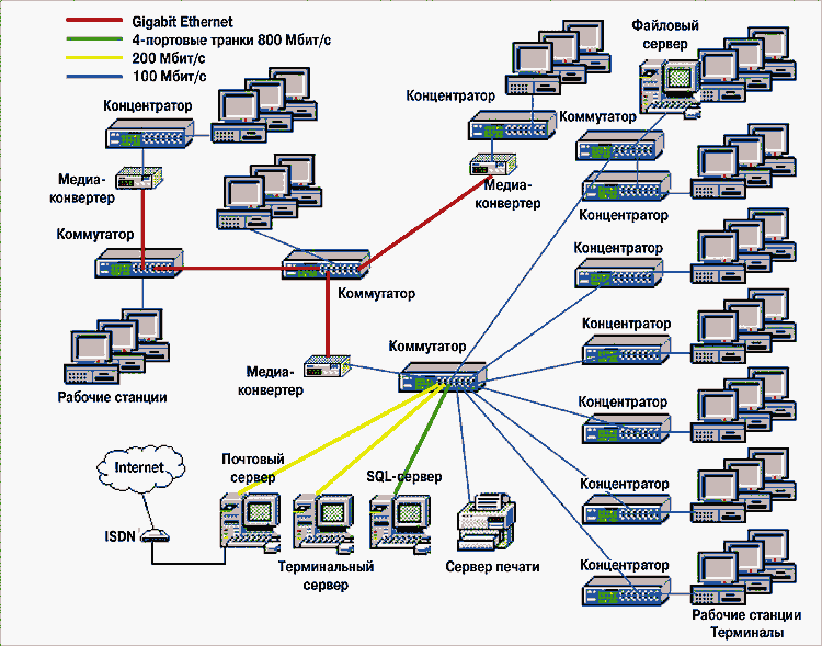 Организация цифровой сети. Схема локальной сети организации. Структурная схема локальной сети. Построение сети предприятия схема. Схема компьютерной сети предприятия.
