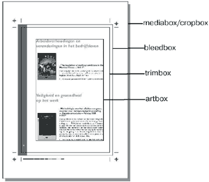 Дизайн упаковки: искусство или технология?