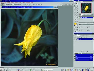 Большая лупа для маленьких цветовых контрастов