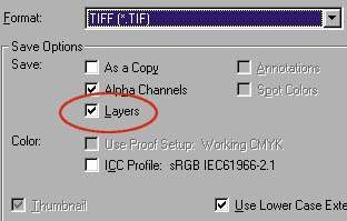 Новые форматы изображений: требование времени