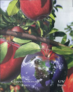 УФ-печать на листовом офсете *