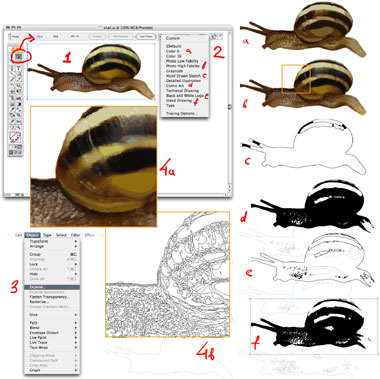 Adobe Illustrator CS2: классика жанра (часть вторая)