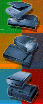 В поисках золотой середины