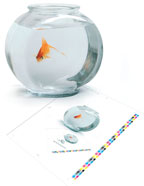 Доказательство цвета