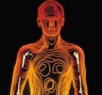 ИТ-поддержка медучреждений: проблемы и решения