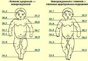 Какая должна быть температура тела у ребенка. Температура тела у младенцев до 1 месяца норма. Норма температуры тела у грудничка в 5 месяцев. Температура тела у грудничка в 5 месяцев норма таблица. Норма температуры тела у ребенка 6 месяцев.