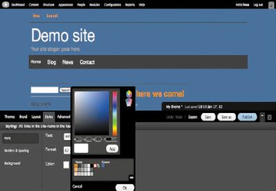 В Drupal есть масса дополнительных модулей, которые расширяют ее возможности, но их использование подчас требует немалого труда