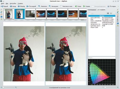 Световой стол в Digikam понравится профессиональным фотографам. Это самый функциональный фотоорганайзер для среды Linux и достойный конкурент многим коммерческим программам 