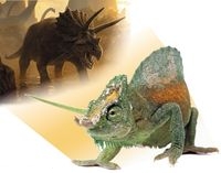 HPC – конец мелового периода